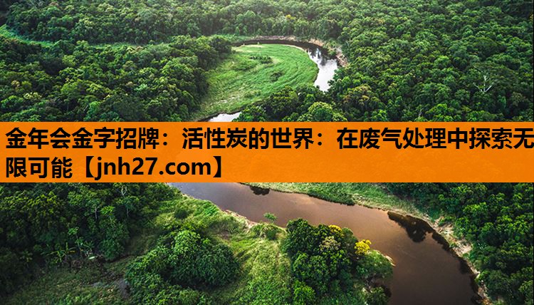 金年会金字招牌：活性炭的世界：在废气处理中探索无限可能