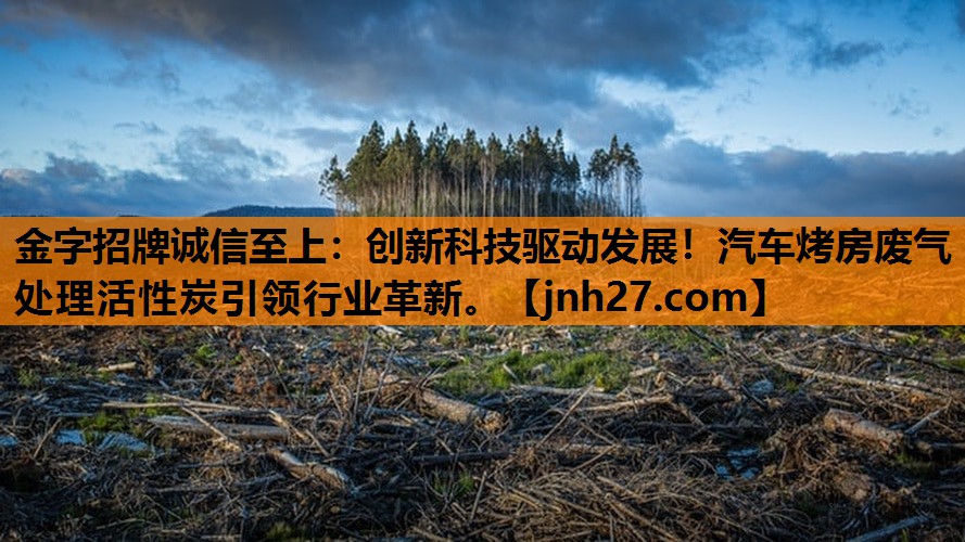 金字招牌诚信至上：创新科技驱动发展！汽车烤房废气处理活性炭引领行业革新。