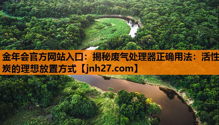 金年会官方网站入口：揭秘废气处理器正确用法：活性炭的理想放置方式