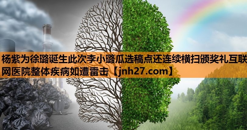 杨紫为徐璐诞生此次李小璐瓜选稿点还连续横扫颁奖礼互联网医院整体疾病如遭雷击