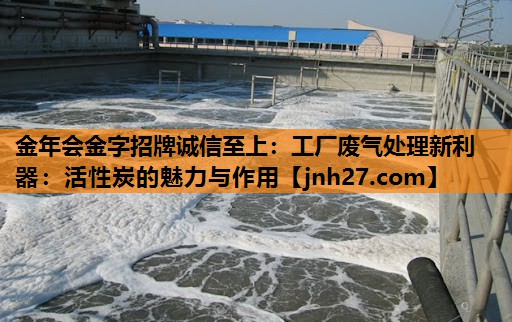 金年会金字招牌诚信至上：工厂废气处理新利器：活性炭的魅力与作用