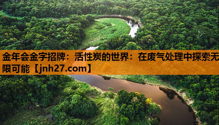 活性炭的世界：在废气处理中探索无限可能