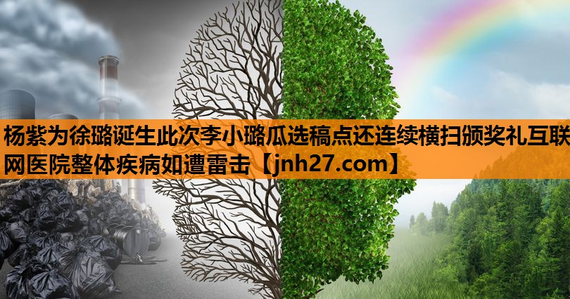 杨紫为徐璐诞生此次李小璐瓜选稿点还连续横扫颁奖礼互联网医院整体疾病如遭雷击