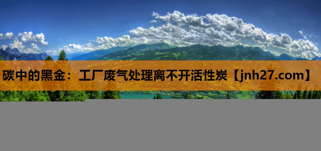 碳中的黑金：工厂废气处理离不开活性炭