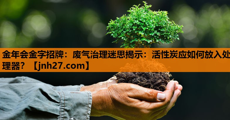 废气治理迷思揭示：活性炭应如何放入处理器？
