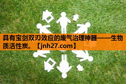 具有宝剑双刃效应的废气治理神器——生物质活性炭。
