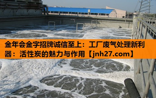 工厂废气处理新利器：活性炭的魅力与作用
