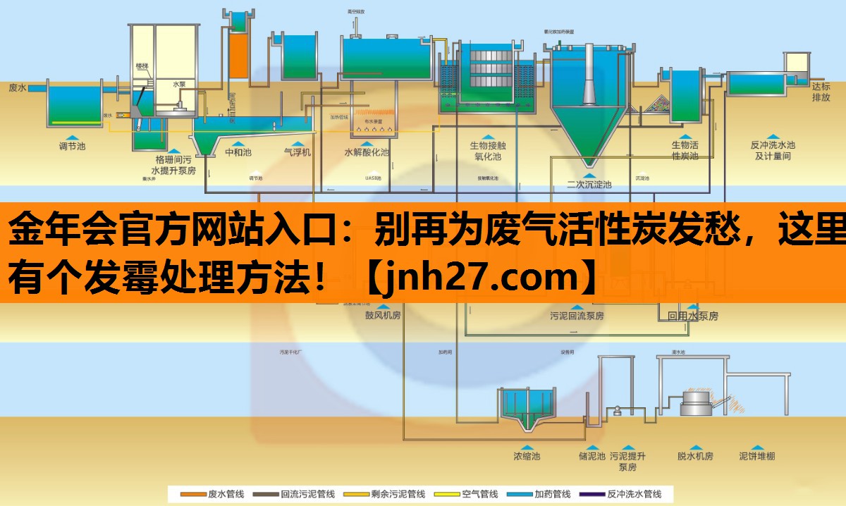 别再为废气活性炭发愁，这里有个发霉处理方法！