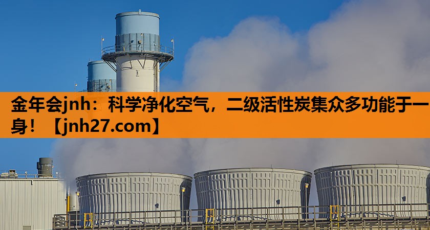 科学净化空气，二级活性炭集众多功能于一身！
