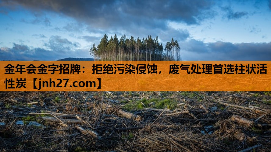 拒绝污染侵蚀，废气处理首选柱状活性炭