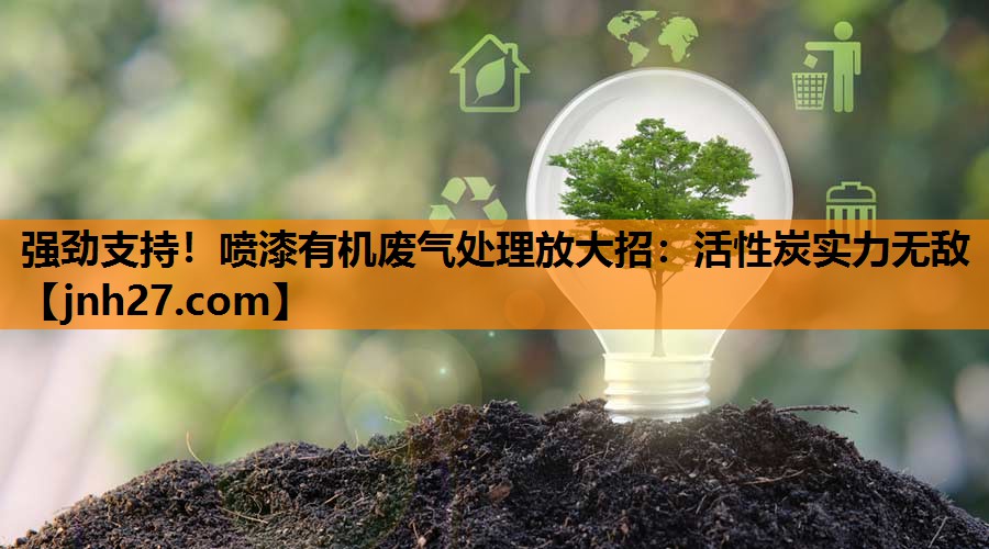 强劲支持！喷漆有机废气处理放大招：活性炭实力无敌